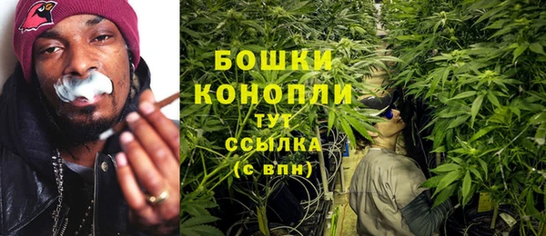 дмт Липки