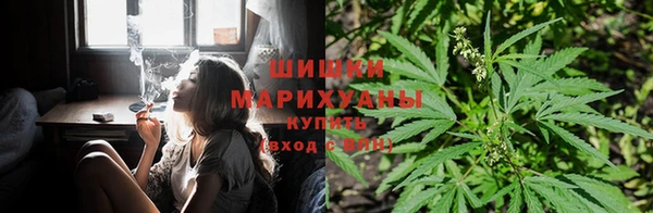 дмт Липки