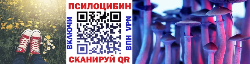 как найти   Шимановск  Псилоцибиновые грибы Magic Shrooms 