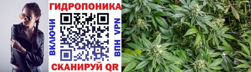 Конопля VHQ  ОМГ ОМГ как зайти  Шимановск  закладка 